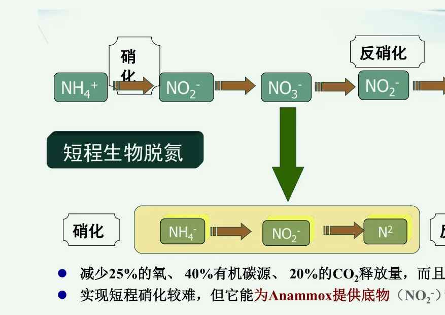 反硝化反應(yīng)是指什么（污水硝化反應(yīng)與反硝化原理）